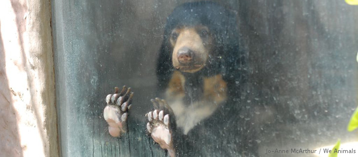 Zoo